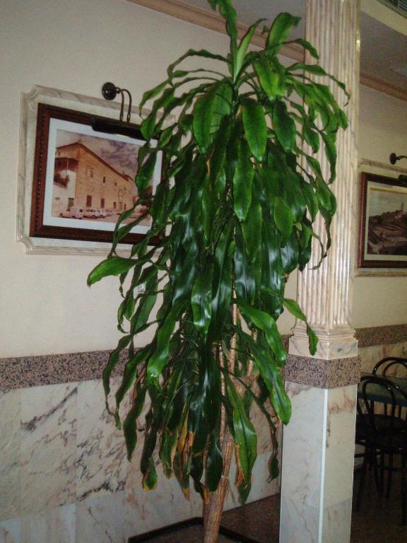 Hotel Los Hermanos Ocaña エクステリア 写真